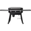 Traeger Flatrock Griddle -Traeger Shop 8083728 A.eps High 30138.1678284612