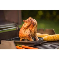 Weber 6731 Deluxe Steel Poultry Roaster -Traeger Shop 8382616 A V1.eps High 34087.1648603788